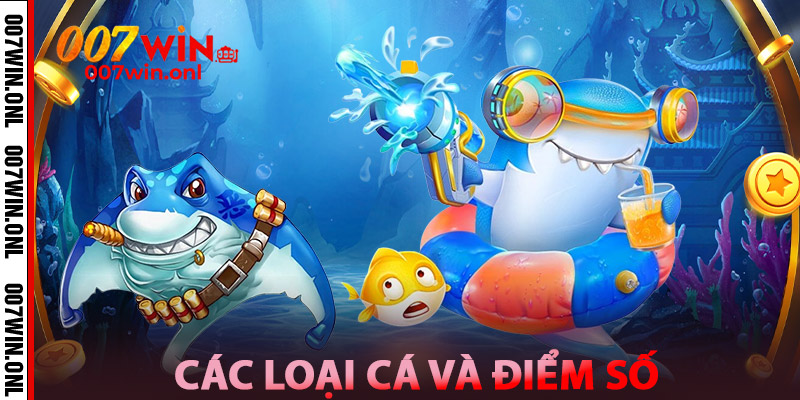 Bắn Cá Online 3D - Đại Dương Sống Động, Thưởng Cực Đã 2 Các Loại Cá Và Điểm Số Trong Bắn Cá Online 3D