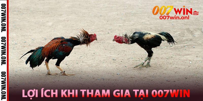 Lợi ích khi tham gia tại 007win