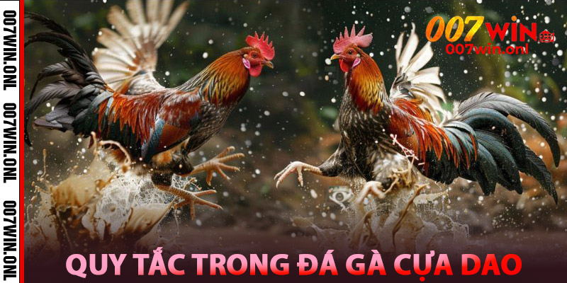 Quy tắc trong Đá Gà Cựa Dao